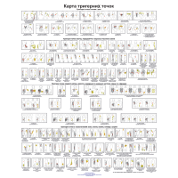 Плакат Карта Тригерних точок 86×67см Плакат з тригерними точками голови та шиї Плакат для масажного кабінету