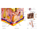 Анатомічний плакат - Будова  шкіри і її похідних  67x 52 см