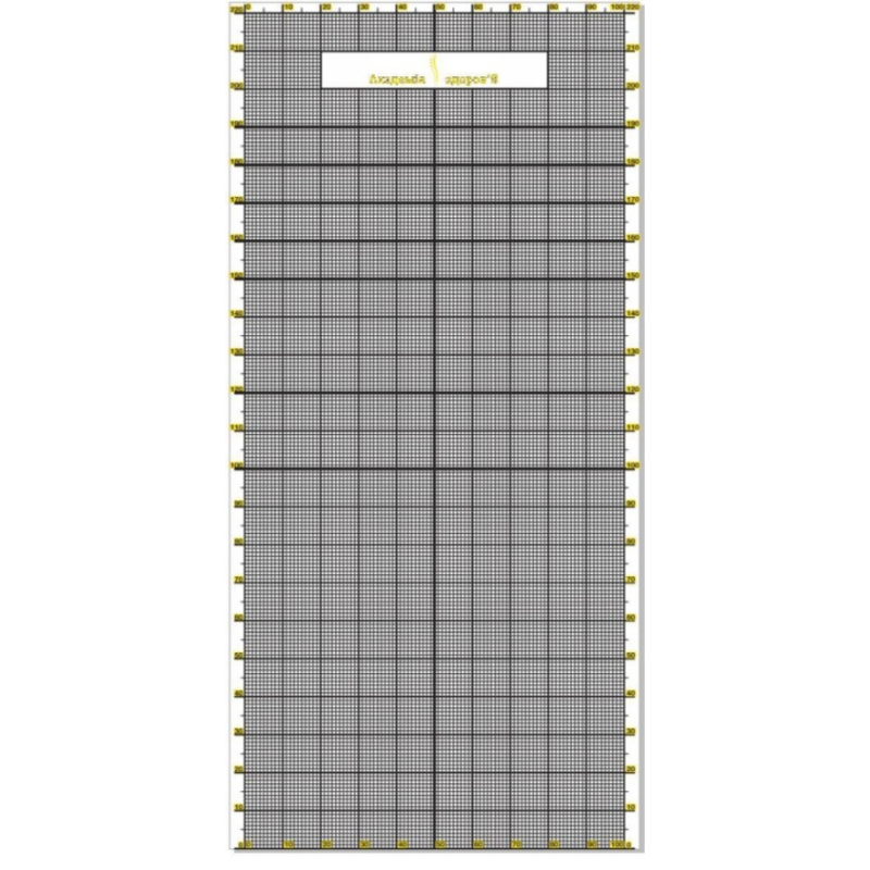 Постуральна карта для визначення порушень постави людини 2230х1080мм без люверсів