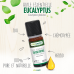 ЕФІРНА ОЛІЯ ЕВКАЛІПТА КУЛЯСТОГО OLIOSEPTIL / H. E. EUCALYPTUS GLOBULUS - ХЕМОТИПОВАНА ОРГАНІЧНА HEBBD, 10 МЛ (OL20)