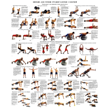 Плакат Вправи для грудної клітки та плечей 67*86 см Плакат із вправами на грудну клітку