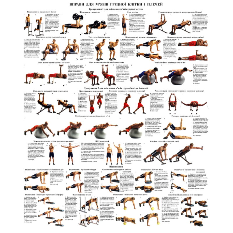 Плакат Вправи для грудної клітки та плечей 67*86 см Плакат із вправами на грудну клітку