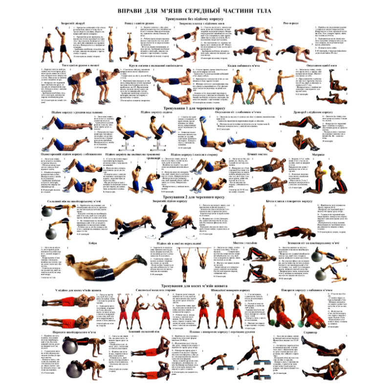 Плакат Вправи для м“язів середньої частини тіла 67*86 см Високоякісний друкований плакат Плакат для залу
