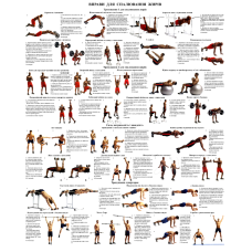 Плакат із вправами для спалювання жиру 67*86 см Плакат для тренажерних залів Навчальні плакати