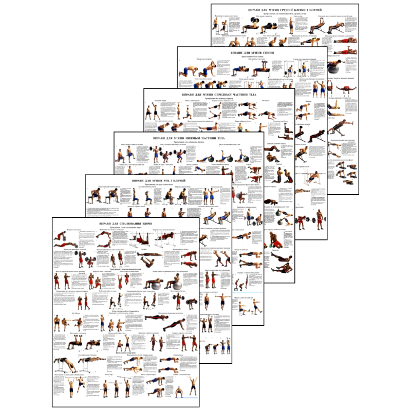 Вправи для м“язів усіх частин тіла 50*64.6 см Комплект з 6 штук