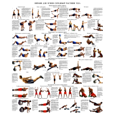 Вправи для м“язів середньої частини тіла 50*64.6 см