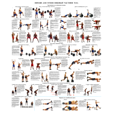 Вправи для м“язів нижньої частини тіла 50*64.6 см