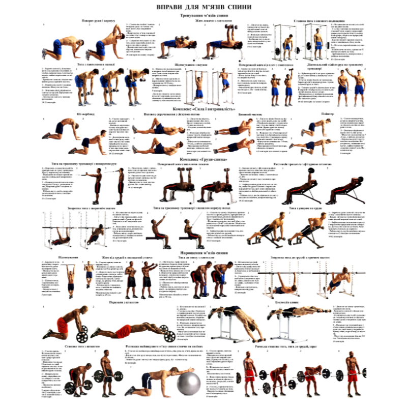 Плакат із вправами для спини 50*64.6 см Плакат із вправами для спини 50*64.6 см