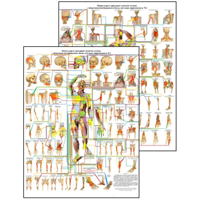 Комплект із двох плакатів Повна карта тригерних  пунктів (точок) 86×67см Плакат із тригерними пунктами