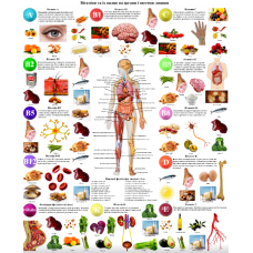 Плакат “Вітаміни та їх вплив на органи та системи людини“ 86×67см Демонстраційний плакат вітамінів