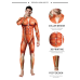 Костюм для вивчення м“язів та анатомії людини М/L Чоловічий еластичний костюм для візуалізації анатомії м“язів