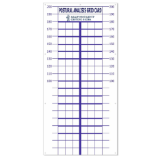 Постуральна карта для визначення порушень постави людини 2050х1000мм  Постуральна карта Синій колір ліній без люверсів