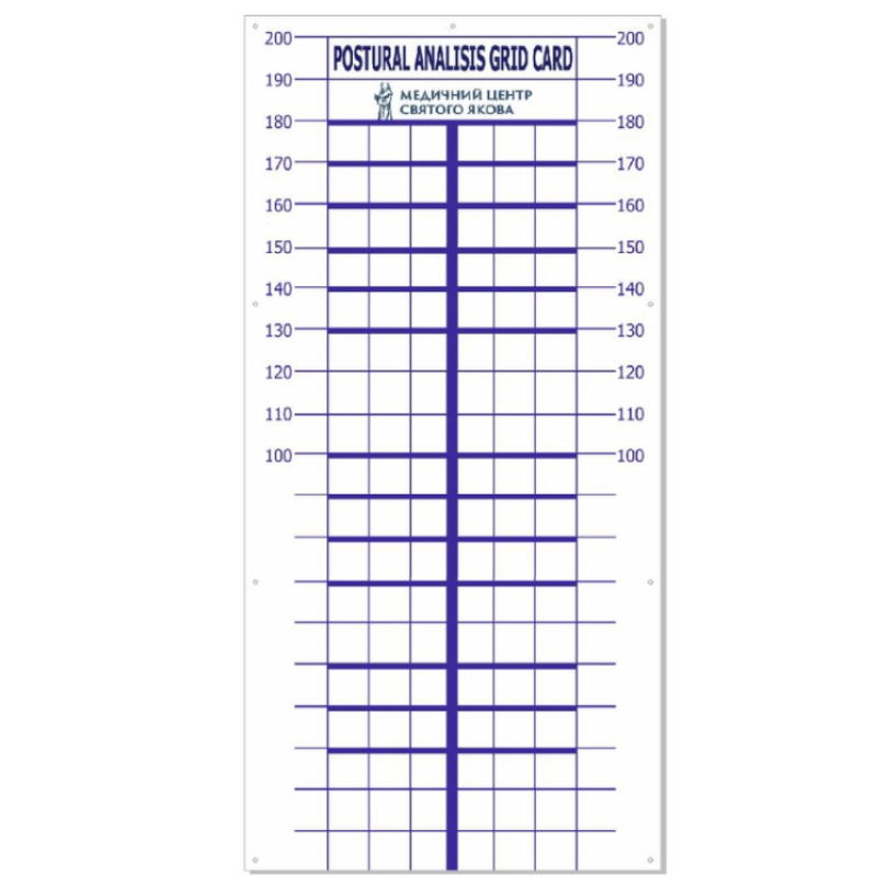 Постуральна карта для визначення порушень постави людини 2050х1000мм  Постуральна карта Синій колір ліній без люверсів