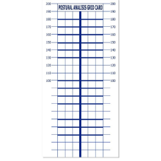 Постуральна карта для визначення порушень постави людини 2050х1000мм  Постуральна карта Синій колір ліній без люверсів