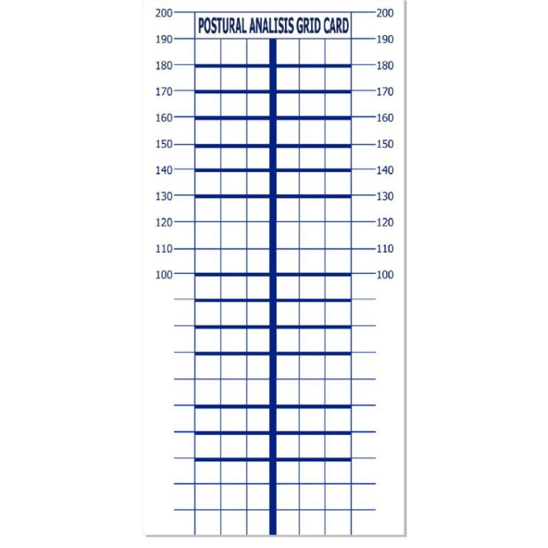 Постуральна карта для визначення порушень постави людини 2050х1000мм  Постуральна карта Синій колір ліній без люверсів